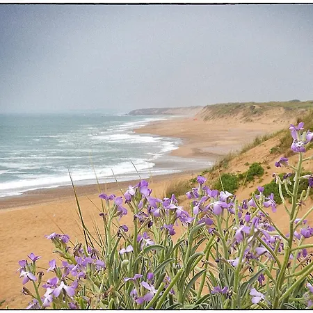 아파트 La Parenthese Bleue